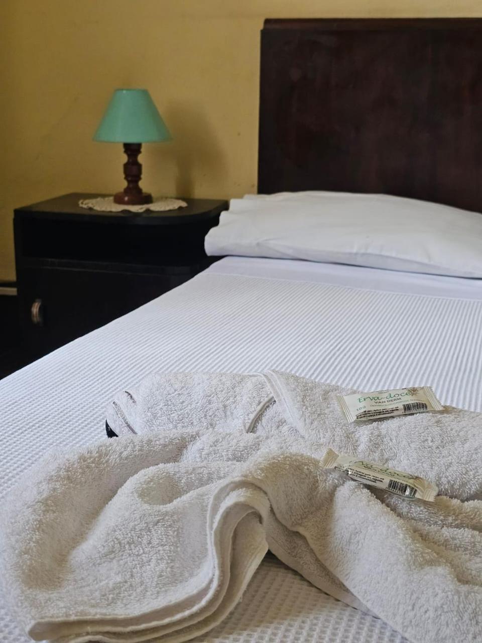 Varzea Palace Hotel Терезополис Экстерьер фото